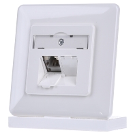 Image of TN EDATC6A-2UP-rws - RJ45 8(8) Data outlet 6A (IEC) white TN EDATC6A-2UP-rws