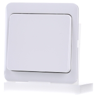 Image of D 80.420.02 - Cover plate for dimmer white D 80.420.02