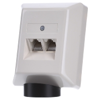 Image of IAE/UAE 2x8 (4) Ap - 2x RJ45 8(4) Data outlet Cat.3 white IAE/UAE 2x8 (4) Ap