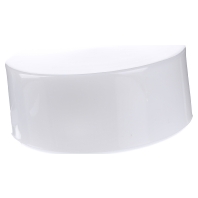 Image of 10320.002 - Surface mounted luminaire 1x60W 10320.002