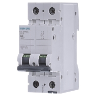 Image of 5SL4225-6 - Miniature circuit breaker 2-p B25A 5SL4225-6