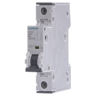 Image of 5SY4106-5 - Miniature circuit breaker 1-p A6A 5SY4106-5