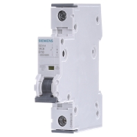 Image of 5SY4110-6 - Miniature circuit breaker 1-p B10A 5SY4110-6