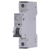 Image of 5SY4125-6 - Miniature circuit breaker 1-p B25A 5SY4125-6