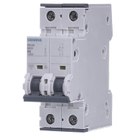 Image of 5SY4506-6 - Miniature circuit breaker 2-p B6A 5SY4506-6