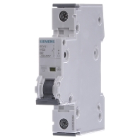 Image of 5SY6102-6 - Miniature circuit breaker 1-p B2A 5SY6102-6