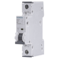 Image of 5SY6106-6 - Miniature circuit breaker 1-p B6A 5SY6106-6