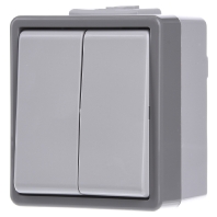 Image of 5TA4705 - Series switch surface mounted grey 5TA4705