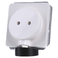 Image of 2601/6/20 EBW-53 - Combination switch/wall socket outlet 2601/6/20 EBW-537"