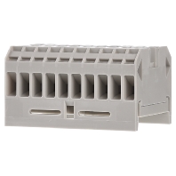 Image of 8WA1011-0DG21 - Feed-through terminal block 65,5mm 32A 8WA1011-0DG21