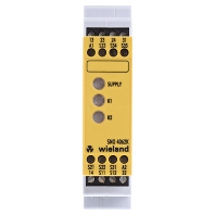 Image of SNO4062K AC/DC24V - Safety relay 24V AC/DC EN954-1 Cat 4 SNO4062K AC/DC24V