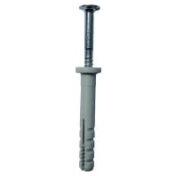 05102865 (100 Stück) - Nail anchor PN640 6x40 VE100, 05102865 - Promotional item