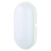 05400654 - LED wall / ceiling light LB22 PLEDOLXXL 20W white, 05400654 - Promotional item