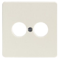 206910 - Central cover plate 206910