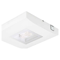 13812 1-8/D CGLine+ - Emergency luminaire 6,7W IP41 8h 13812 1-8/D CGLine+