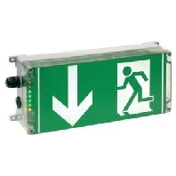 12191030003 - Ex-proof emergency/security luminaire 3h 12191030003