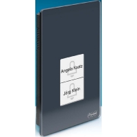 TFS-Dialog 400 anth - Speak/ring module for door station TFS-Dialog 400 anth