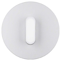 1001207400 - Cover plate for switch/push button white 1001207400