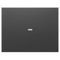 80960275 - Cover plate for switch anthracite 80960275