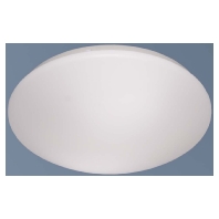 41325 - Ceiling-/wall luminaire 1x15W 41325