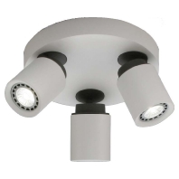 42528 - Spot light/floodlight 3x7W 42528