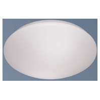 44209 - Ceiling-/wall luminaire 1x10W 44209