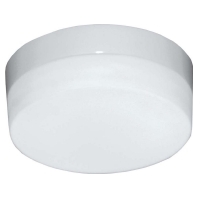 44257 - Ceiling-/wall luminaire 44257