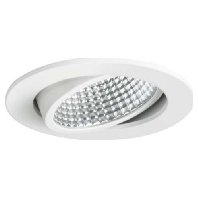 12395073 - Downlight/spot/floodlight 1x12W 12395073