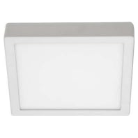 12250073 - Downlight/spot/floodlight 1x24W 12250073