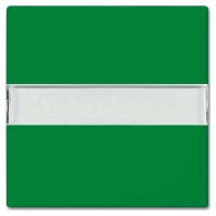 2510 NLI-13-914 - Cover plate for switch/push button green 2510 NLI-13-914