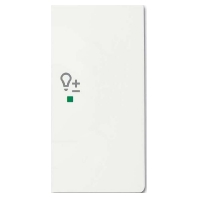 6234-22-884 - Touch rocker for home automation white 6234-22-884