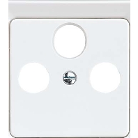 206032 - Central cover plate 206032