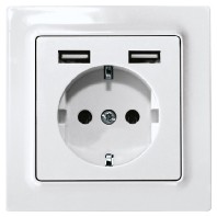 DSS55E+2xUSBA-wg - Socket outlet (receptacle) DSS55E+2xUSBA-wg