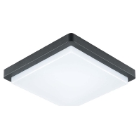 DAQH54141502 - Ceiling-/wall luminaire DAQH54141502