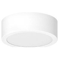 LPRD120102 - Ceiling-/wall luminaire LPRD120102