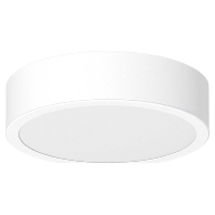 LPRD170102 - Ceiling-/wall luminaire LPRD170102