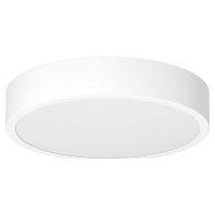 LPRD220102 - Ceiling-/wall luminaire LPRD220102