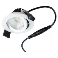 P65080102 - Downlight/spot/floodlight P65080102