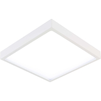 PAQ190140 ws - Ceiling-/wall luminaire PAQ190140 ws