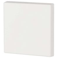 CWIZ-01/41 - Cover plate white CWIZ-01/41