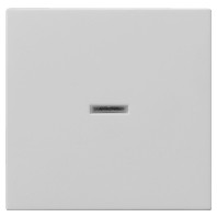 0290015 - Cover plate for switch/push button grey 0290015