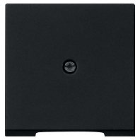0274005 - Central cover plate 0274005