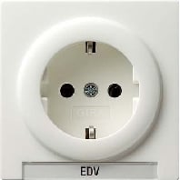 018740 - Socket outlet (receptacle) 018740