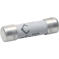 LF301G - Cylindrical fuse 10x38 mm 1A LF301G