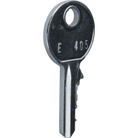 FZ454 - Cylinder key for enclosure FZ454