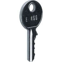 FZ456 - Cylinder key for enclosure FZ456