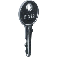 FZ457 - Cylinder key for enclosure FZ457