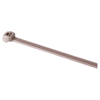 PT3B PEEK BGE 100 (100 Stück) - Cable tie 4,65x250mm Beige PT3B PEEK BGE 100