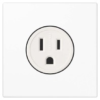 LS 521-15 WW (10 Stück) - Socket outlet (receptacle) NEMA white LS 521-15 WW