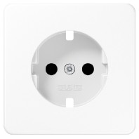 CD1520BFKIPLWW (10 Stück) - Cover plate for Wall socket cream white CD1520BFKIPLWW